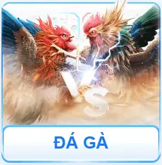 đá gà fwipha.com